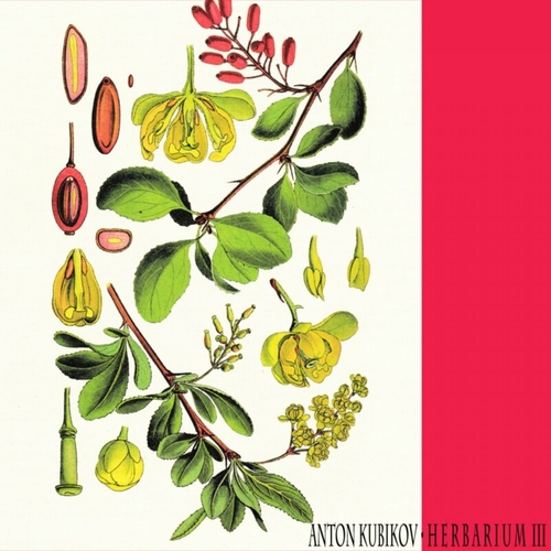 Anton Kubikov - Herbarium, Pt. 3 [RT008]